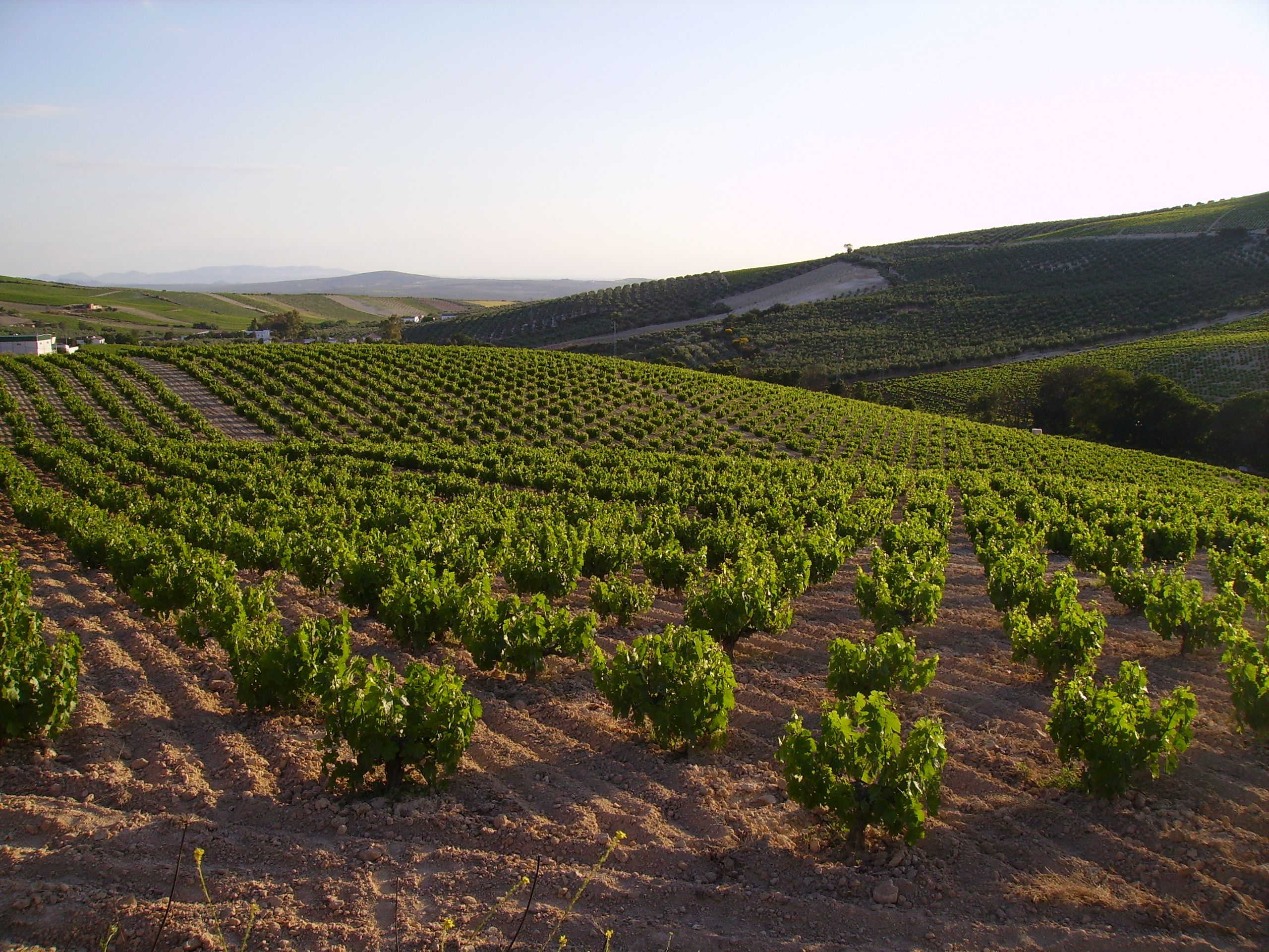 eac79fcfe24c5eebd736da36e7d06199